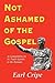 Not Ashamed of the Gospel - Biblical Commentary of the Book of Romans (New Testament Commentaries 9)
