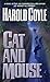 Cat and Mouse by Harold Coyle