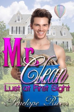 Mr. Clean (Lust at First Sight, #6)