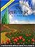 The Road to Oz by L. Frank Baum