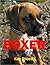 Boxer Dog Breed Profile