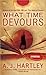 What Time Devours (Thomas Knight, #2)
