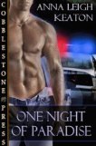 One Night of Paradise (To Serve and Protect, #2)