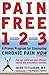 Pain Free 1-2-3 by Jacob Teitelbaum