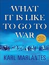 Book cover for What It is Like to Go to War