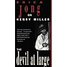 The Devil at Large by Erica Jong