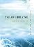 The Air I Breathe by Louie Giglio
