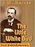 The Little White Bird