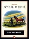 The Red Pony
