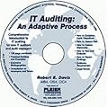 IT Auditing: An Adaptive Process