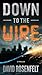 Down to the Wire by David Rosenfelt