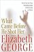 What Came Before He Shot Her (Inspector Lynley, #14)