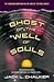 Ghost of the Well of Souls (Saga of the Well World, #7)