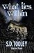 What Lies Within by S.D. Tooley