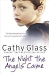 The Night the Angels Came: The Heartbreaking True Story of a Young Boy's Loss Book cover for The Night the Angels Came: The Heartbreaking True Story of a Young Boy's Loss