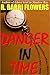 Danger in Time: A Young Adult Time Travel Mystery