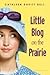 Little Blog on the Prairie