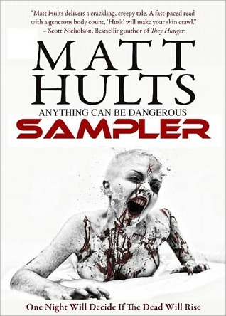 Anything can be Dangerous (Kindle Edition)