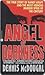 Angel of Darkness: The True Story of Randy Kraft and the Most Heinous Murder Spree