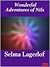 The Wonderful Adventures of Nils by Selma Lagerloef