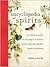 Encyclopedia of Spirits by Judika Illes