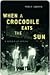 When a Crocodile Eats the Sun by Peter Godwin