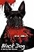 Black Dog