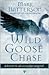 Wild Goose Chase: Reclaim the Adventure of Pursuing God