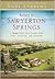 Return to Sawyerton Springs by Andy Andrews