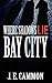 Bay City (Where Shadows Lie, #1)