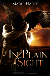 In Plain Sight (Cougar Falls, #2)