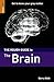 The Rough Guide to The Brain (Rough Guide Reference)