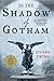 In the Shadow of Gotham (Simon Ziele, #1)