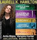 Anita Blake, Vampire Hunter Collection 11-15
