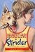 Strider (Leigh Botts, #2)