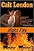 NIGHT FIRE: Romance on the Oregon Trail