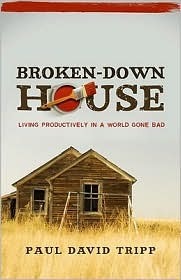 Broken-Down House: Living Productively in a World Gone Bad