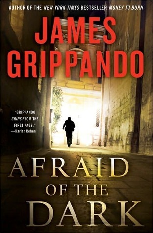 Afraid Of The Dark (Jack Swyteck, #9)