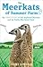 The Meerkats Of Summer Farm by Jayne Collier The Meerkats Of Summer Farm by Jayne Collier