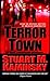 Terror Town (Abe Lieberman #9)
