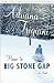 Home to Big Stone Gap by Adriana Trigiani Home to Big Stone Gap by Adriana Trigiani