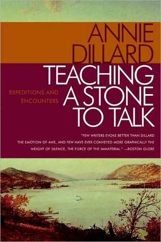 Teaching a Stone to Talk: Expeditions and Encounters