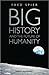 Big History and the Future of Humanity