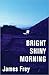Bright Shiny Morning by James Frey Bright Shiny Morning by James Frey