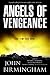 Angels of Vengeance (The Disappearance, #3)