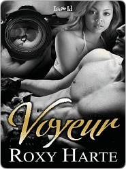 Voyeur (Kindle Edition)