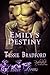 Emily's Destiny