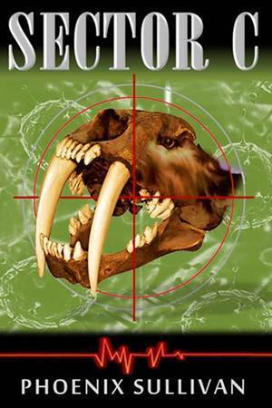 Sector C (Kindle Edition)