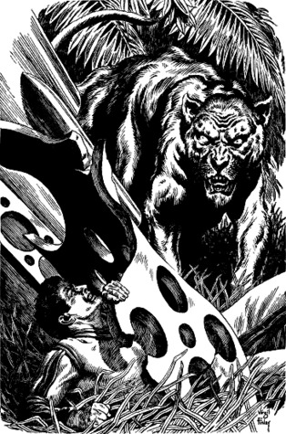 A Choice of Miracles (ebook)