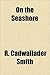 On the Seashore by R. Cadwallader Smith